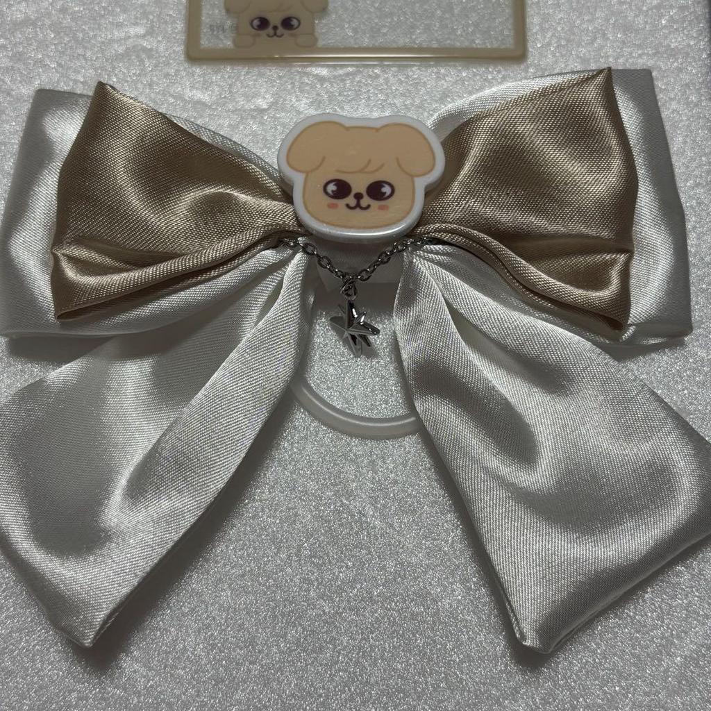 [USED] Stray Kids PuppxM Seungmin Ribbon Strap Seoul Concert