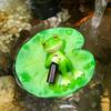Cute Miniature Frogs Sculpture Creative Floating Frog Pond Ornament Fake Animal Decorations  Yard