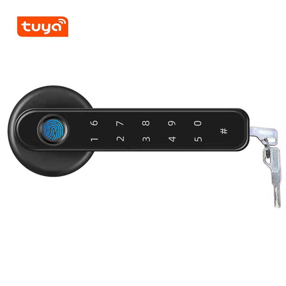 Tuya TTLOCK APP Control Door Locks Biometric Fingerprint Locker BT Smart Entry Home Handle App Unlock Digital Intelligent Lock