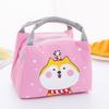 Adult Kids Lunch Bag Insulated Cool Bag Portable Picnic Bag School Lunch Box