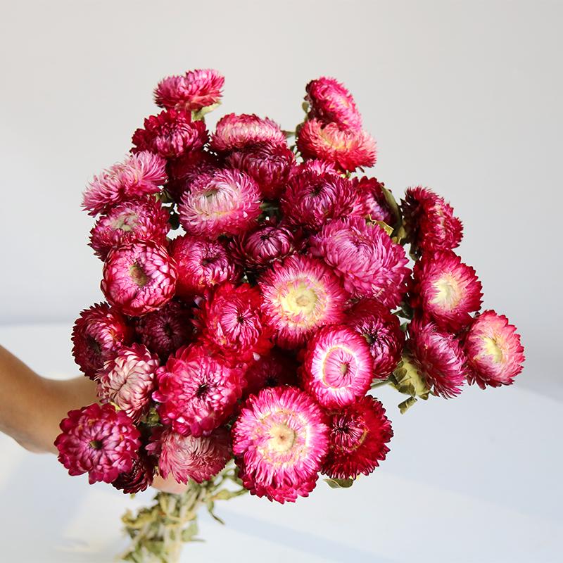 Daisy Dried Flower Bouquet for Living Room and Bedroom Décor - Natural Yunnan Flowers for Display or Photo Props
