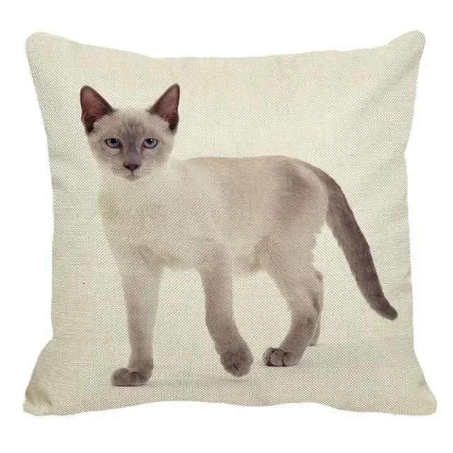 Thailand Cat Theme Pattern Double-Sided Printed Pillow Cover Short Plush Suitable Living Rooms Bedrooms Sofa Throw Cushion Cover