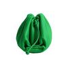 Bottega Veneta Solid Color Minimalist Magnetic Closure Calfskin Handheld Shoulder Crossbody Bag Mini Women Bags Green 585852V1BW03724