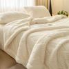 Thickened Double Layer Milk Velvet Lamb Velvet Blanket Office Nap Blanket Student Dormitory Shoulder Wrap Woolen Blanket