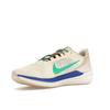 Nike Air Winflo 9 Premium Coconut Milk Stadium Green Men Sneakers Cream Sanddrift Racer-Blue DV8997-100