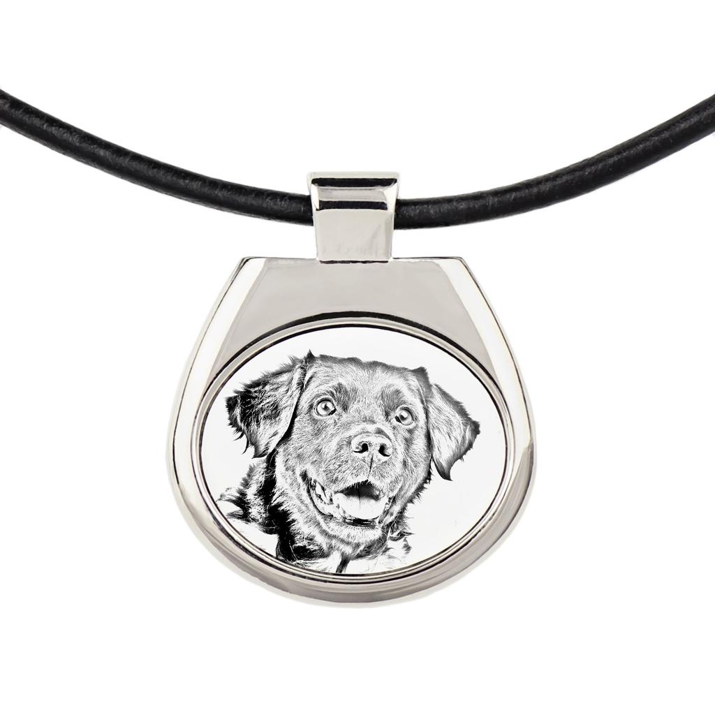 Stabyhoun, Stabijhoun, Fryske Stabij – Dog necklace, personalized pendant with a photo | Art-Dog