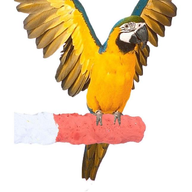 2pcs Bird Perch Parrot Stand, Cuttlebone Holder Bird Parrot Cuttlebone Perch Parrot Supplies Bird Perch Stand for African Grey Cockatoo Parakeet