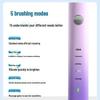 Flyco Adult Sonic Electric Toothbrush FT7105 CN Plug (adapter Included)
