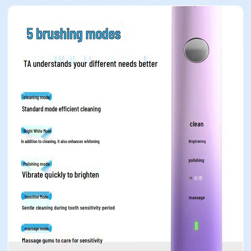 Flyco Adult Sonic Electric Toothbrush FT7105 CN Plug (adapter Included)