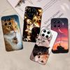 For Tecno Spark 20 Pro Plus Casing Cute Painted Cover KJ7 Soft Silicone TPU Phone Case For Spark20 Spark 20 Pro+ Bumper 6.78"