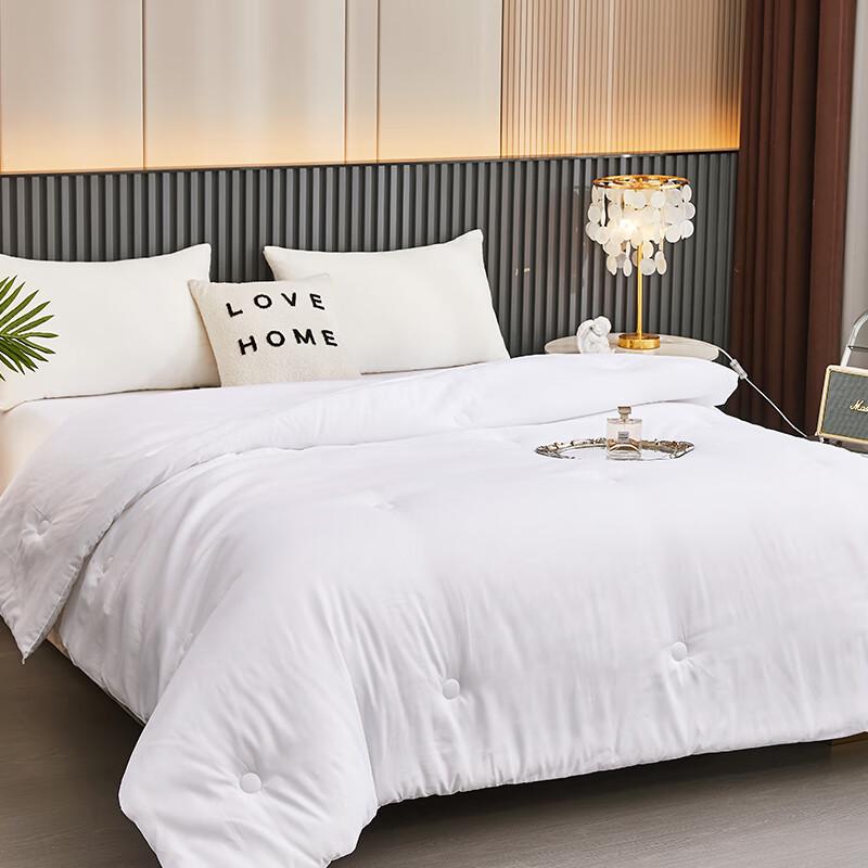 

Jelydia Cloud-Feel Antibacterial Warm Quilt