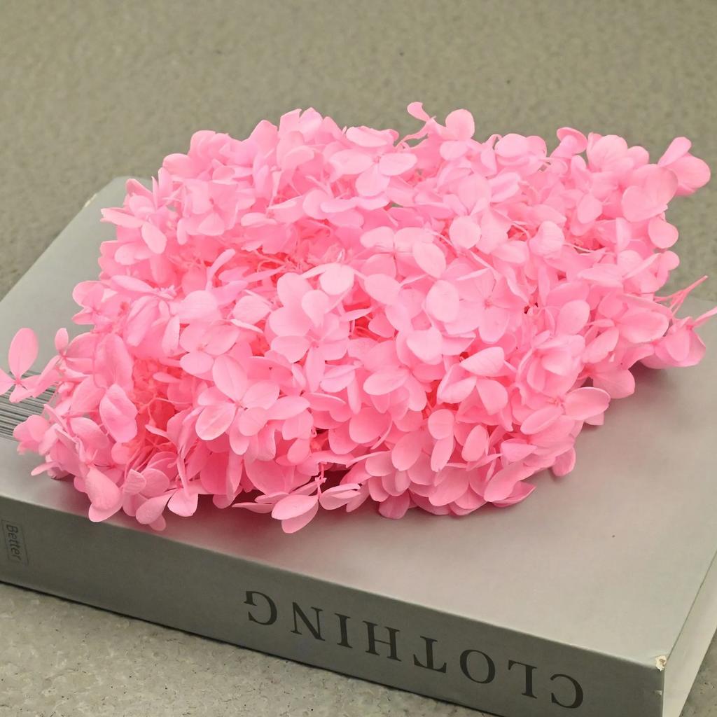 20g Natural Dried Flowers Hydrangea Macrophylla Home Flowers Decoration Wedding Celebration Bouquet Materials