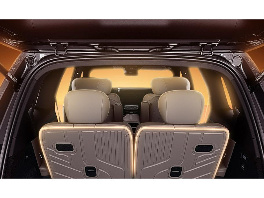 Zhiji LS9 TPE26 Trunk Mat & Car Floor Accessories