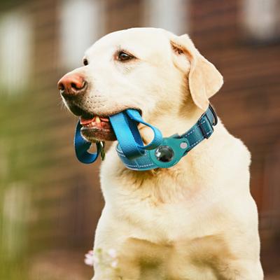 Yousheng Cat Collar Adjustable High Toughness Nylon Pet Collar Anti-lost Device Protective Case for Airtag