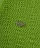 Palet Collared Knit Short Sleeve Tee Green