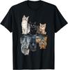 Cats Reflection Mirror Lion Cheetah Tiger Funny Cat Lover T-Shirt