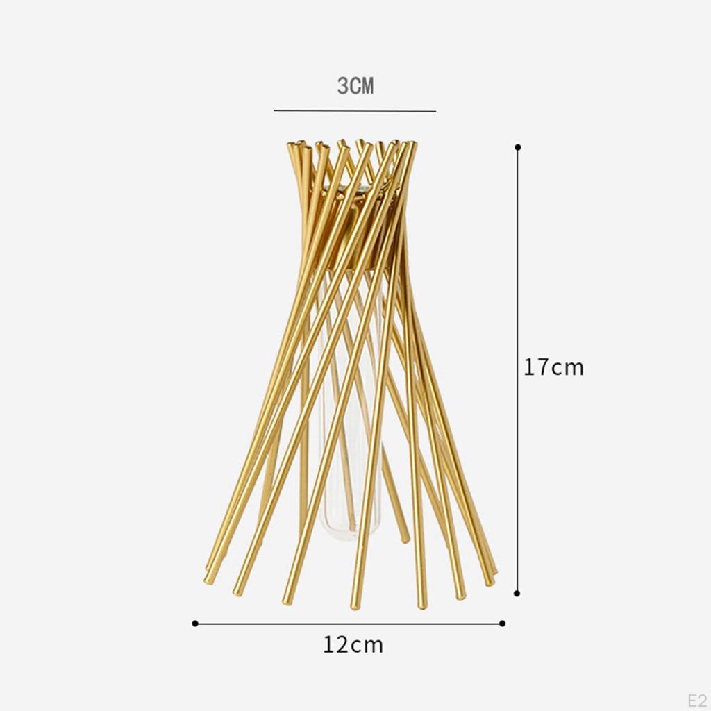 Air Plant Holder Rack Nordic Style Unique Hangers Display Frames for