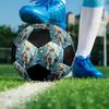 Leo10 Printed Size 5 Soccer Ball, Machine-Stitched PVC, Durable & High Bounce, All Ages Fit, fan merchandise, matches & outdoor use.