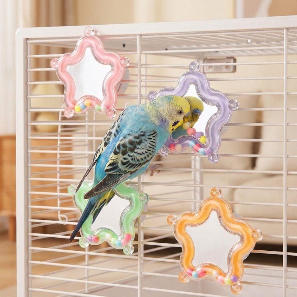 Colorful Beads Star Rotating Parrot Mirror Climb Bite Chew Wear-Resisting Parrot Spinning Wheels Bite Resistant Spinner Rattle