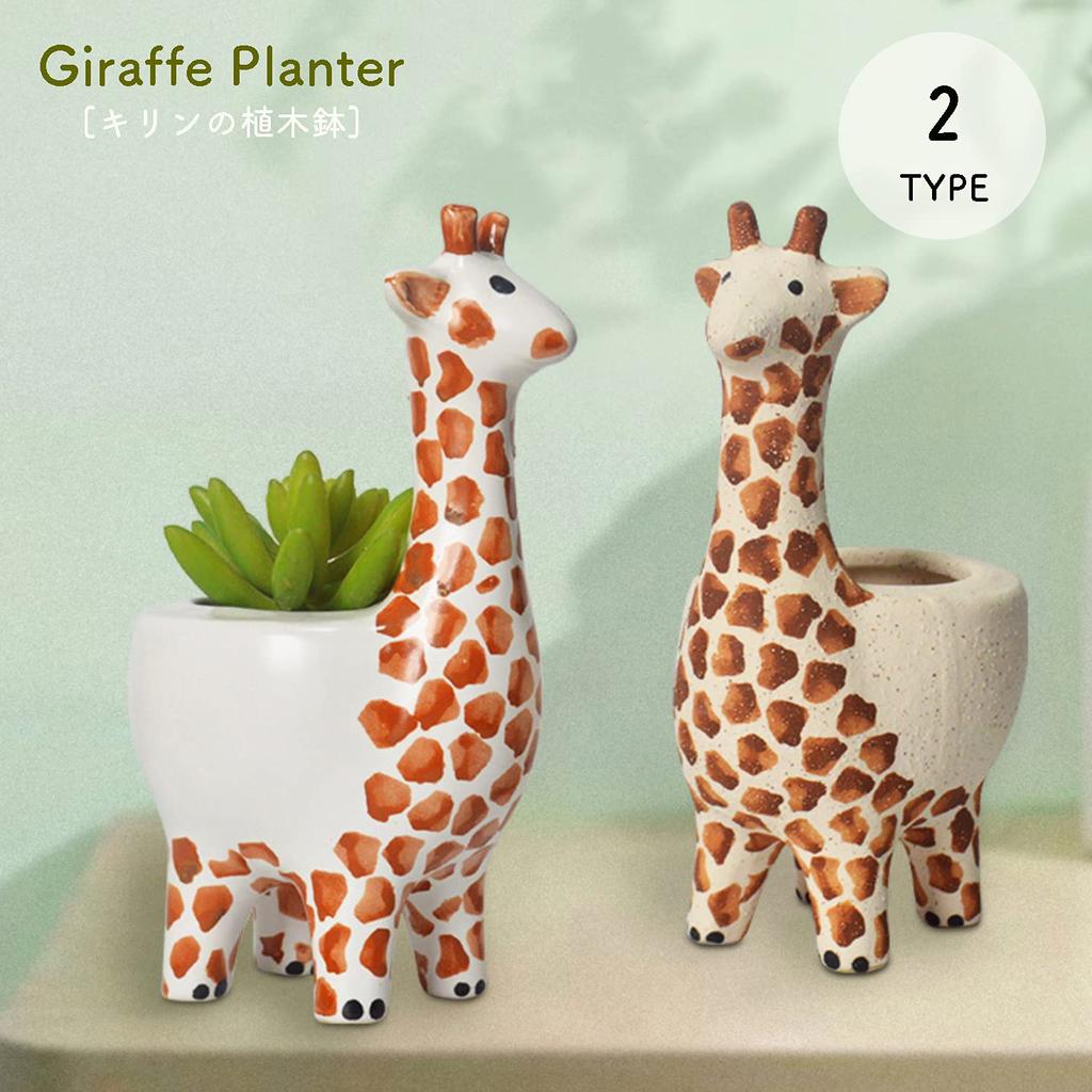 Giraffe Flower Succulent Flower Interior [Queen-b] Planter, Pot, Pot, Cute, Houseplant, Ceramic, Pot, Plant, Herb, Flower, Cactus, Garden, Balcony,