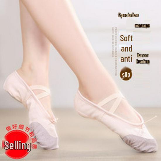 Women's Soft Sole Ballet & Dance Shoes - Gold/Silver, Cat Paw Design