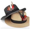 Premium-Hat Natural Feathers 12PCS Colorful Real Feathers