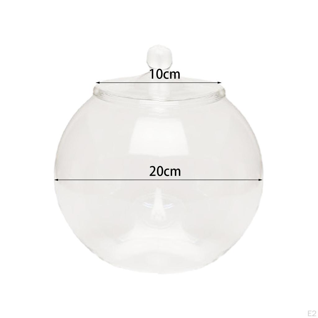 Planter Jar Glass Terrarium 7.87inch Micro Landscape Vase Bottle Plant Container for