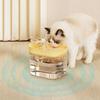 Anti-Dry Burning Pet Water Fountain Removable Pet Water Feeder Smart Pet Bowl  Household