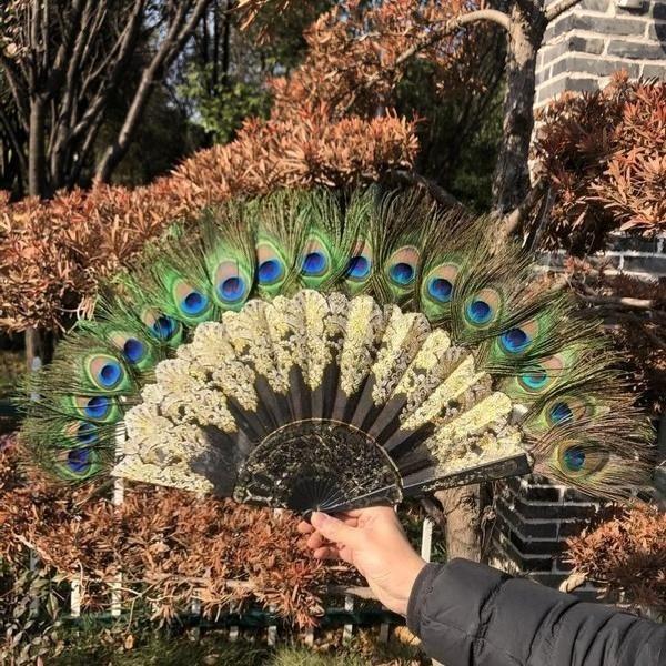 Victorian Gothic Folding Fan with Peacock Feathers and Roses for Photo Props Lolita Fashion Wedding Decor Halloween Costume