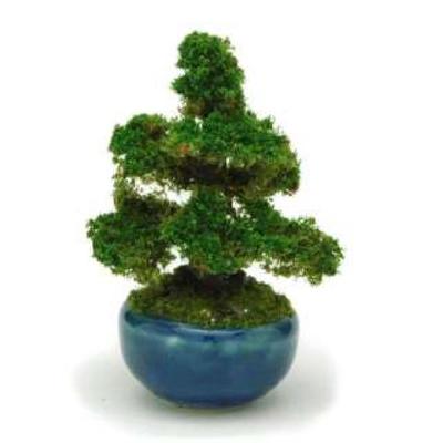 THE BONSAI Round Bowl Cedar Finished Product BONT03 1/12 [Navy]