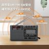 XHDATA D368 Portable FM AM SW Radio with High Sensitivity, DSP Stereo, Type-C Charging, MP3 Player, Battery Operated