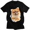 Custom Male Pomeranian Dog T Shirts ShortSleeve Cotton Tshirt Tshirt Leisure Spitz Pet Tees Slim Fit Clothes