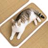 2 Natural Sisal Cats Scratching Mats Furniture Sticker Guard Pet Training Tool With Surfaces For Multiple Installations