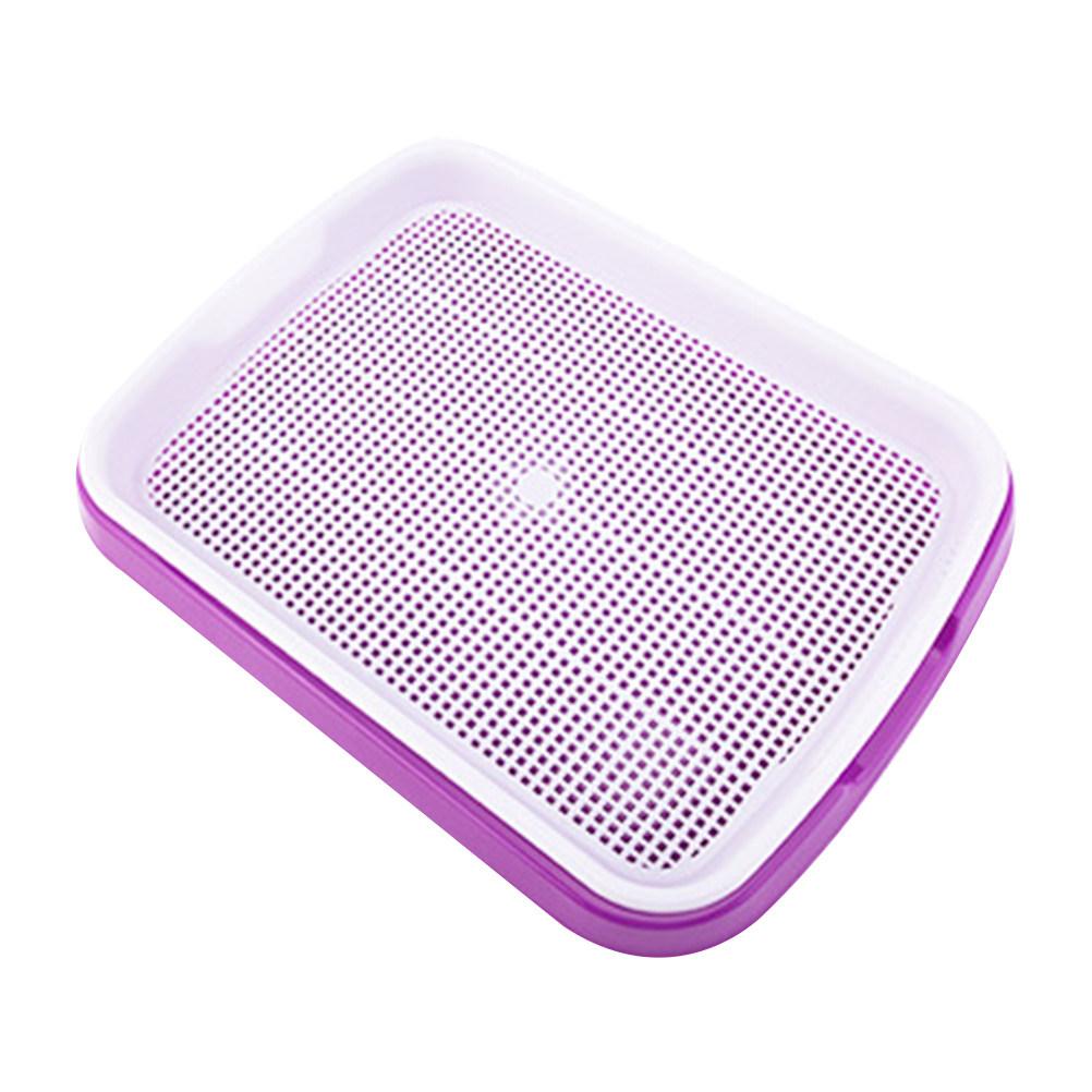 Sprouter Tray Premium Multipurpose Soil Free Sprouting Storage Tray Food Grade PP Grid Ventilated Design 35x26x5cm Purple фиолетовый