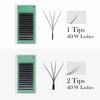 GLAMLASH 4D5D W Shaped Eyelash Extension Premade Volume Fans W Style Lashes Faux Mink Soft Easy Faning Natural Lashes