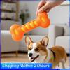3Pcs Teeth Cleaning Molar Stick Squeaky Interactive Massage Toothbrush Dog Toy Textured Teething Bone Puppy Chew Toy