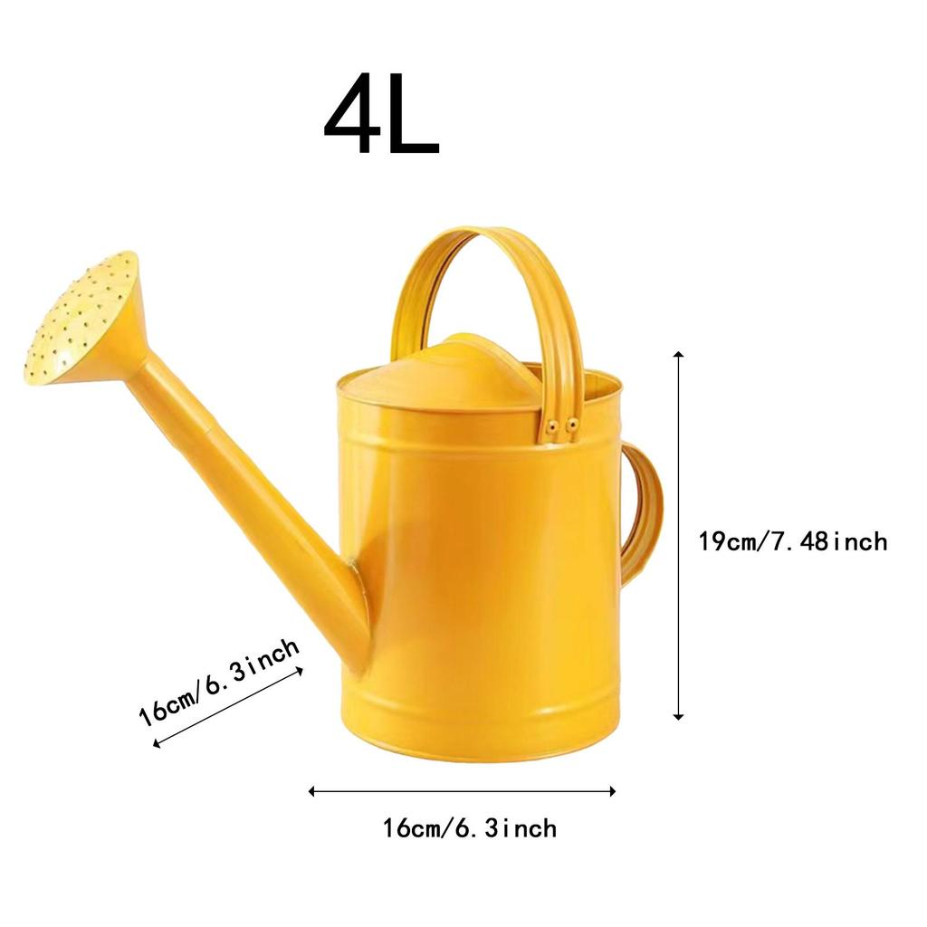 Metal Watering Can with 2 Handles Portable Reusable 4L Gardening Tool for Household Indoor & Outdoor Houseplants Flowers Plants