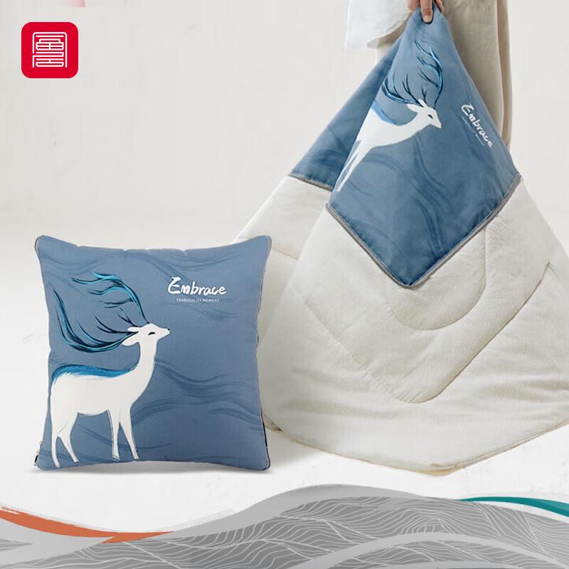 

Multi-functional Pillow Blanket