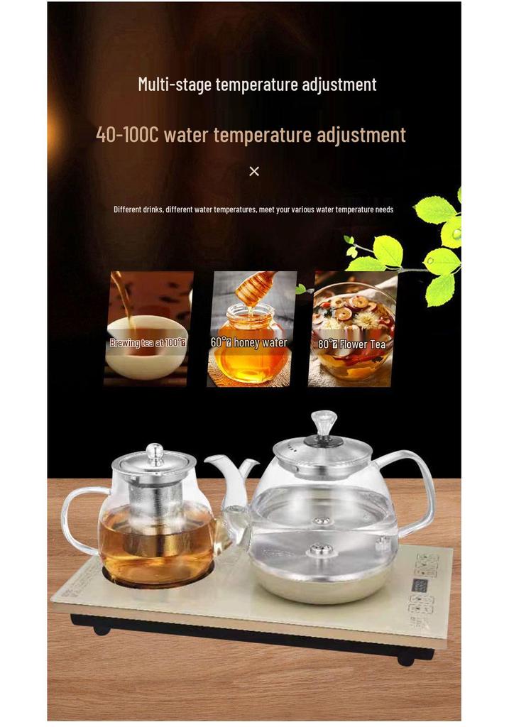 Automatic Electric Glass Tea Kettle with Disinfection Function