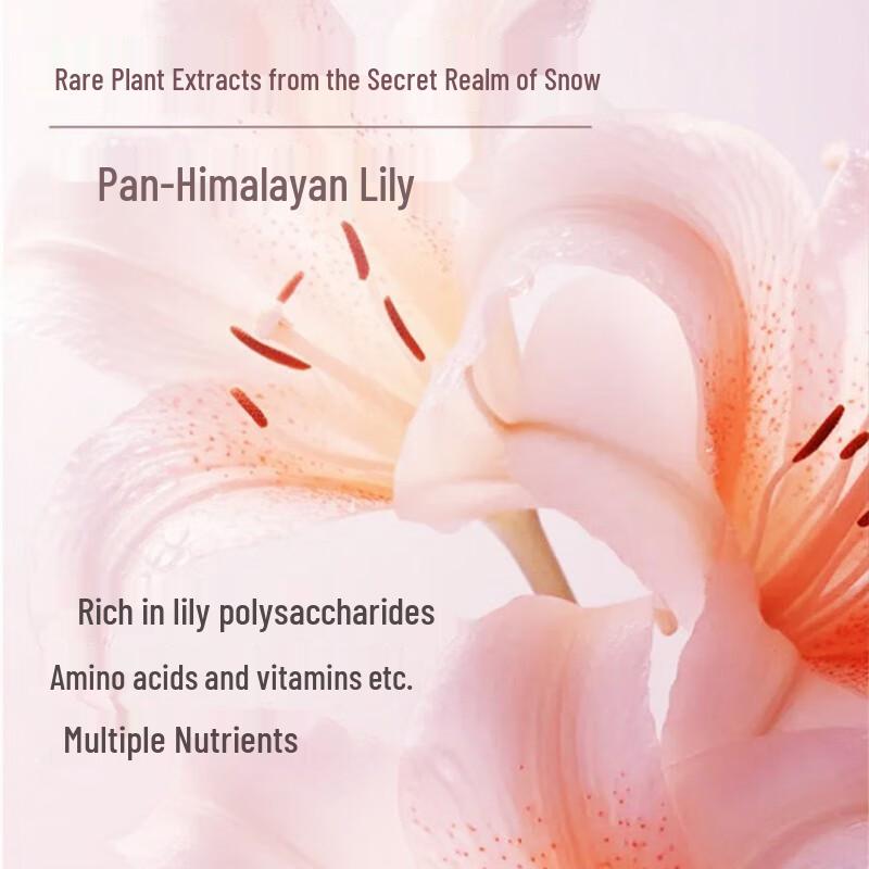 Chando Oil Control Volumizing Shampoo, Conditioner & Shower Gel Set