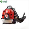 Gasoline Backpack Blower CN Plug (adapter Included)