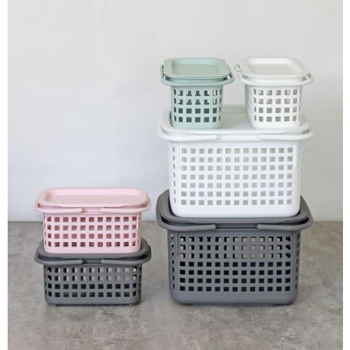 Hachimankasei Sceltevie Cestino Cavaccio RD S 238164