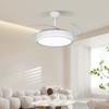OEING Modern Minimalist 42-inch Ceiling Fan with Light
