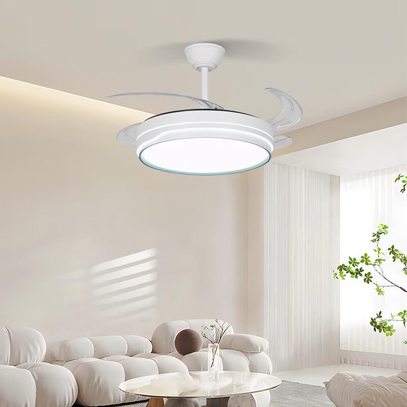 OEING Modern Minimalist 42-inch Ceiling Fan with Light