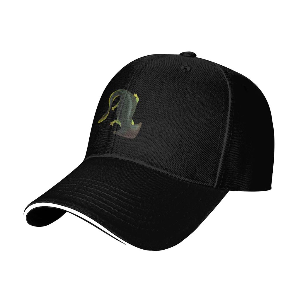 Fashion Diplocaulus Plaeoart  Curved Brim Baseball Cap Vintage Trendy Cap