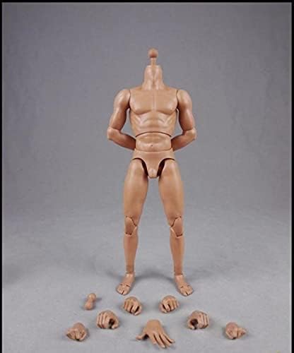 

Игрушка Хобби Фигурка COOMODEL COO Мужское Тело Экшн Тело Тело [TOYBARJAPAN] 1/6 BD001/02/03/04/07/08/09/10 (Мускулистый BD003)