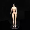 30cm 1/6 Acrylic Doll Stands Transparent Figure Display Waist Foot Support Rack Bracket For Doll Toys Show High