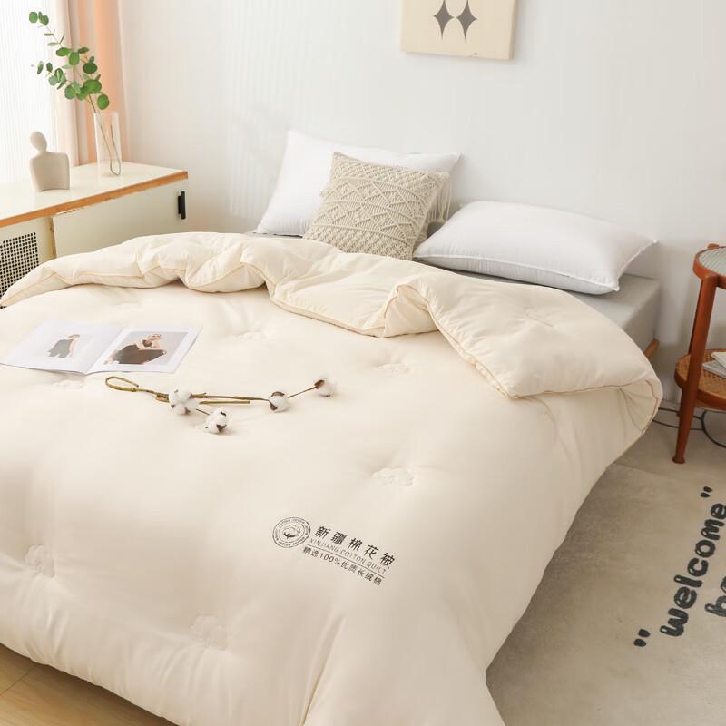 Qi Ai Washed Xinjiang Cotton Quilt