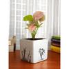 Good Luck Air Purifier Pink Syngonum Plant In White Square Aroez Ceramic Pot | Indoor Plant for Living Room | Home & Office Decor