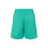 Nike Casual Shorts Men's Green Moderate DA5688-372